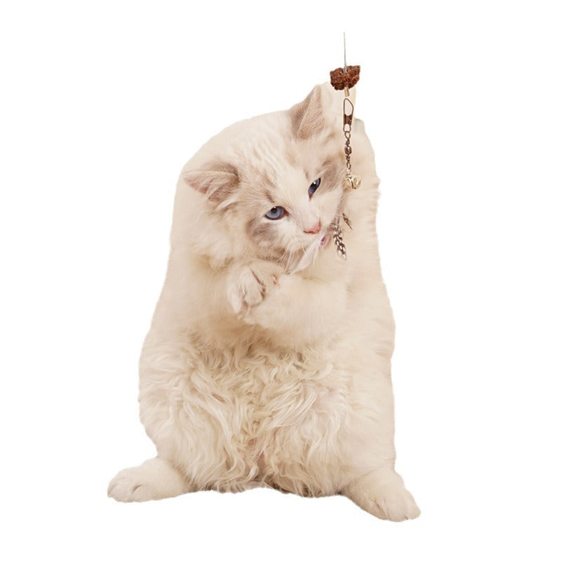 Pet Puzzle Toy