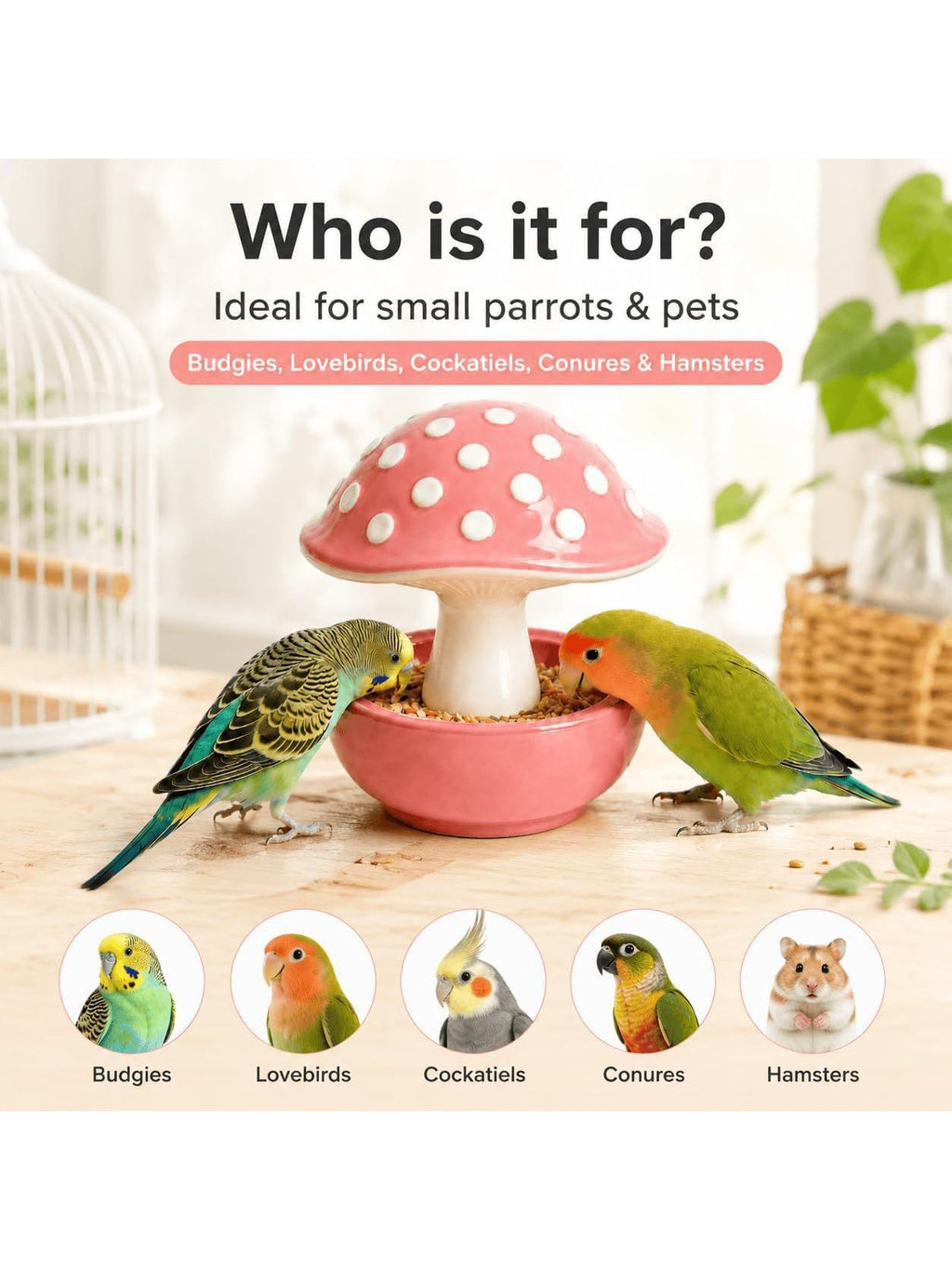 Ceramic Mushroom Bird Feeder
