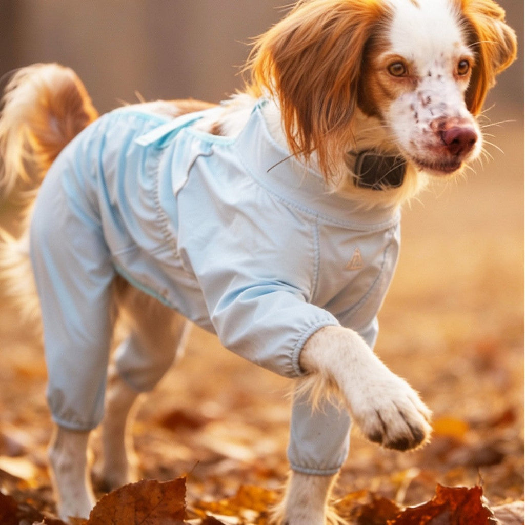 Waterproof Four-Leg Dog Rain Pants