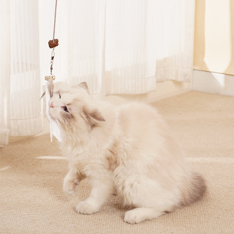 Pet Puzzle Toy