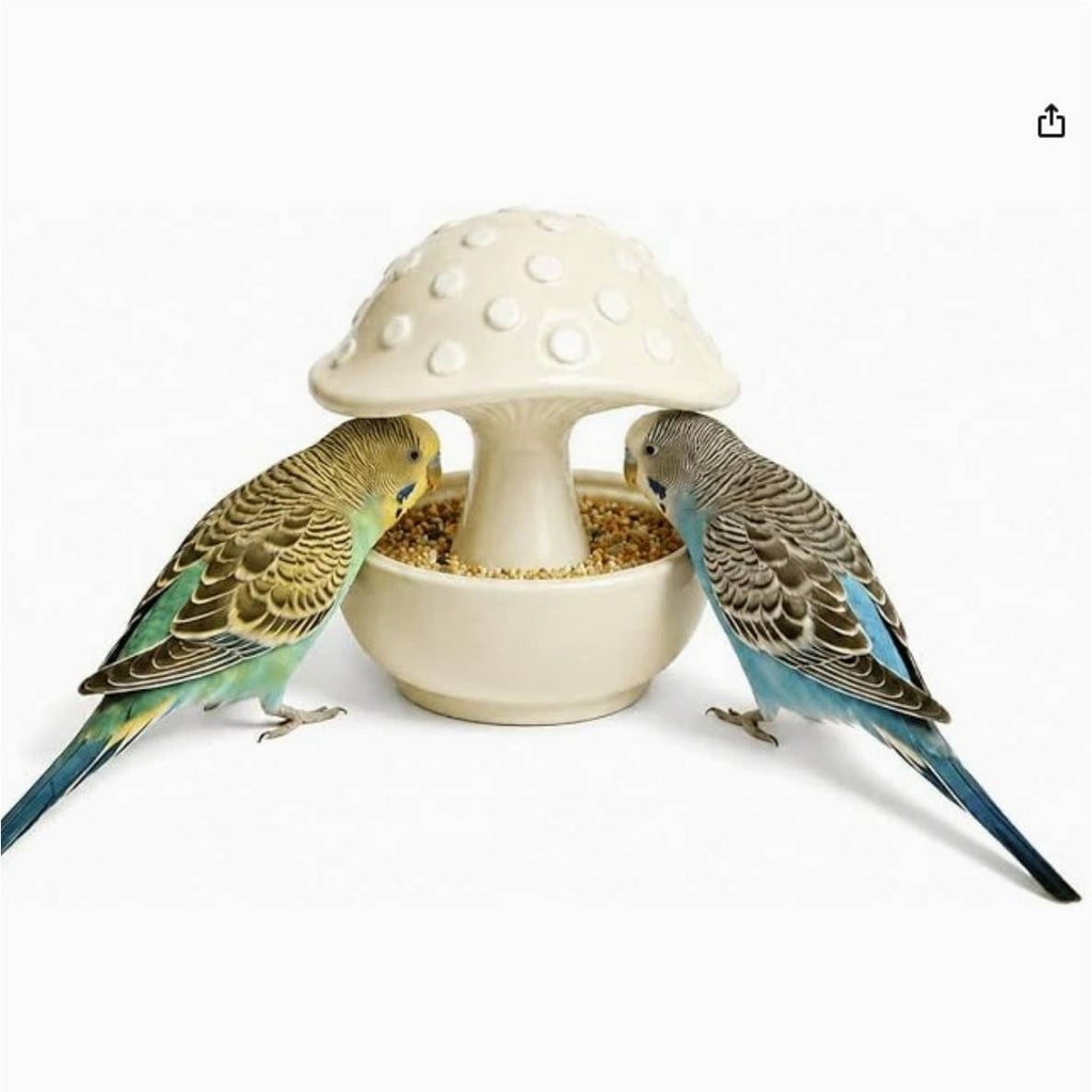 Ceramic Mushroom Bird Feeder