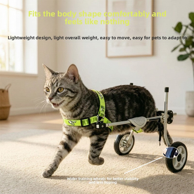 Adjustable Pet Wheelchair for Hind Leg Mobility Support