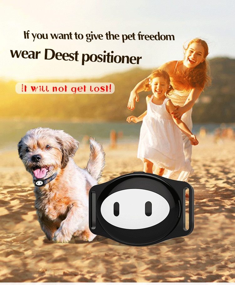 Version Of The Pet Dog And Cat Locator D79 Waterproof And Anti-lost Positioning Tracker GPS Tracker