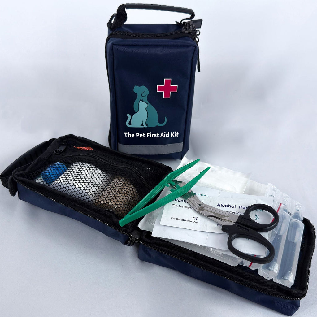 Emergency Pet Care for Out-of-Home Situations