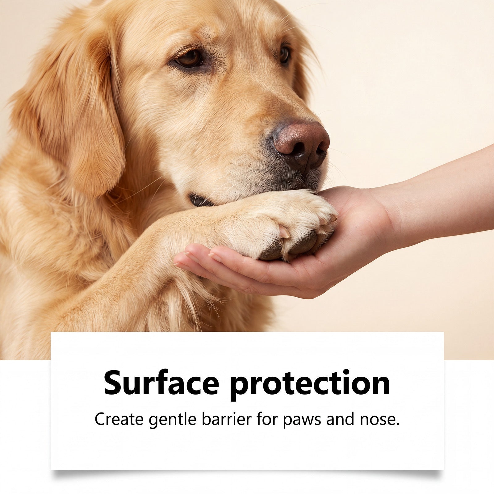 Eeljoy Pet Paw and Nose Care Balm