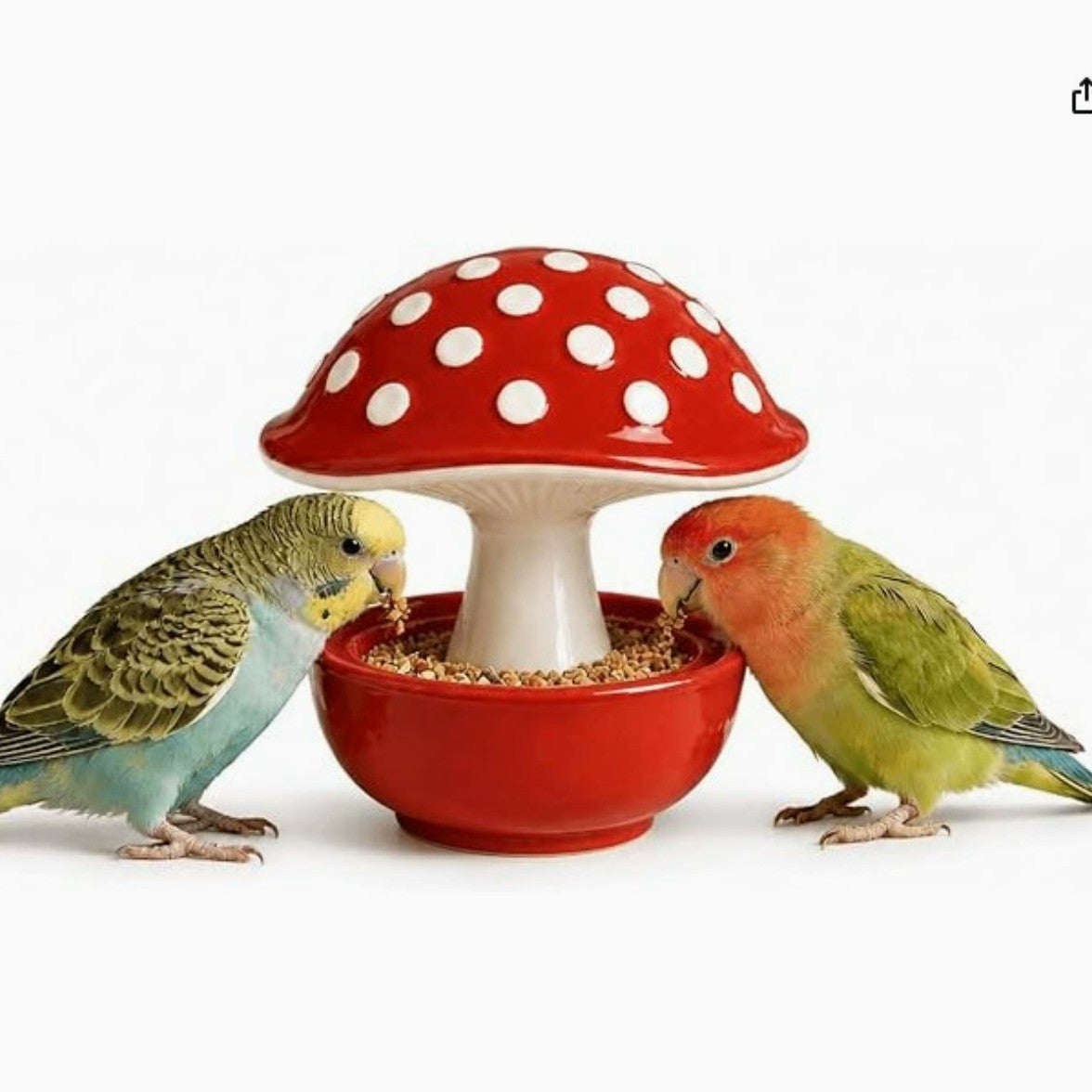 Ceramic Mushroom Bird Feeder