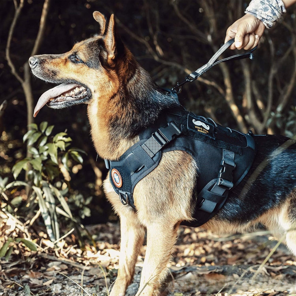 Breathable Mesh Pet Harness with Reflective Trim