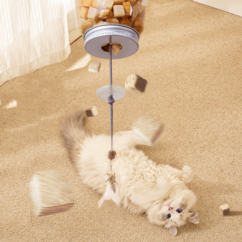 Pet Puzzle Toy