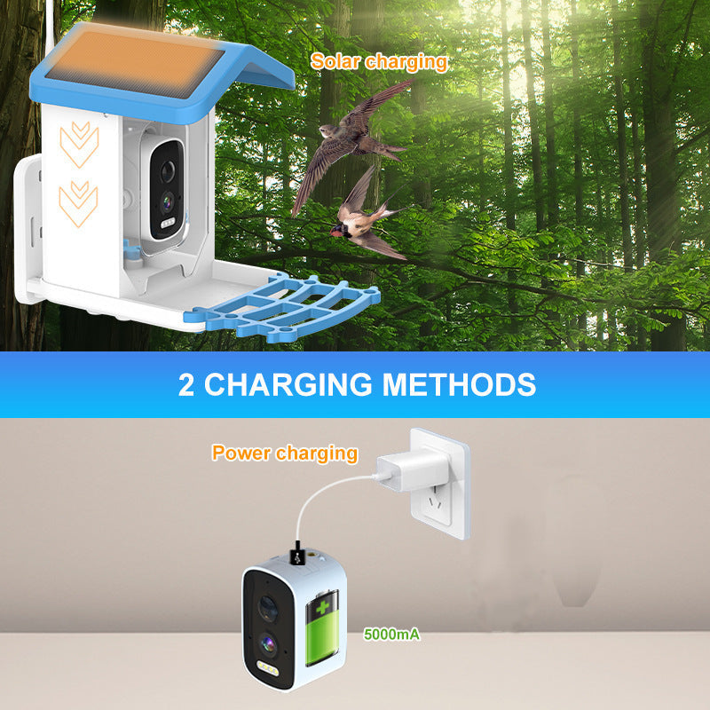Smart Solar Bird Feeder Camera with AI Recognition