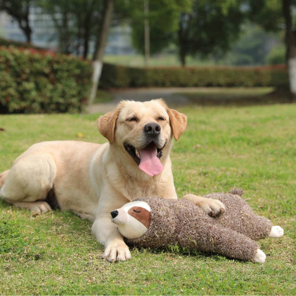 Sloth Plush Anxiety Relief Toy for Pets