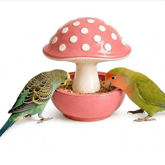 Ceramic Mushroom Bird Feeder
