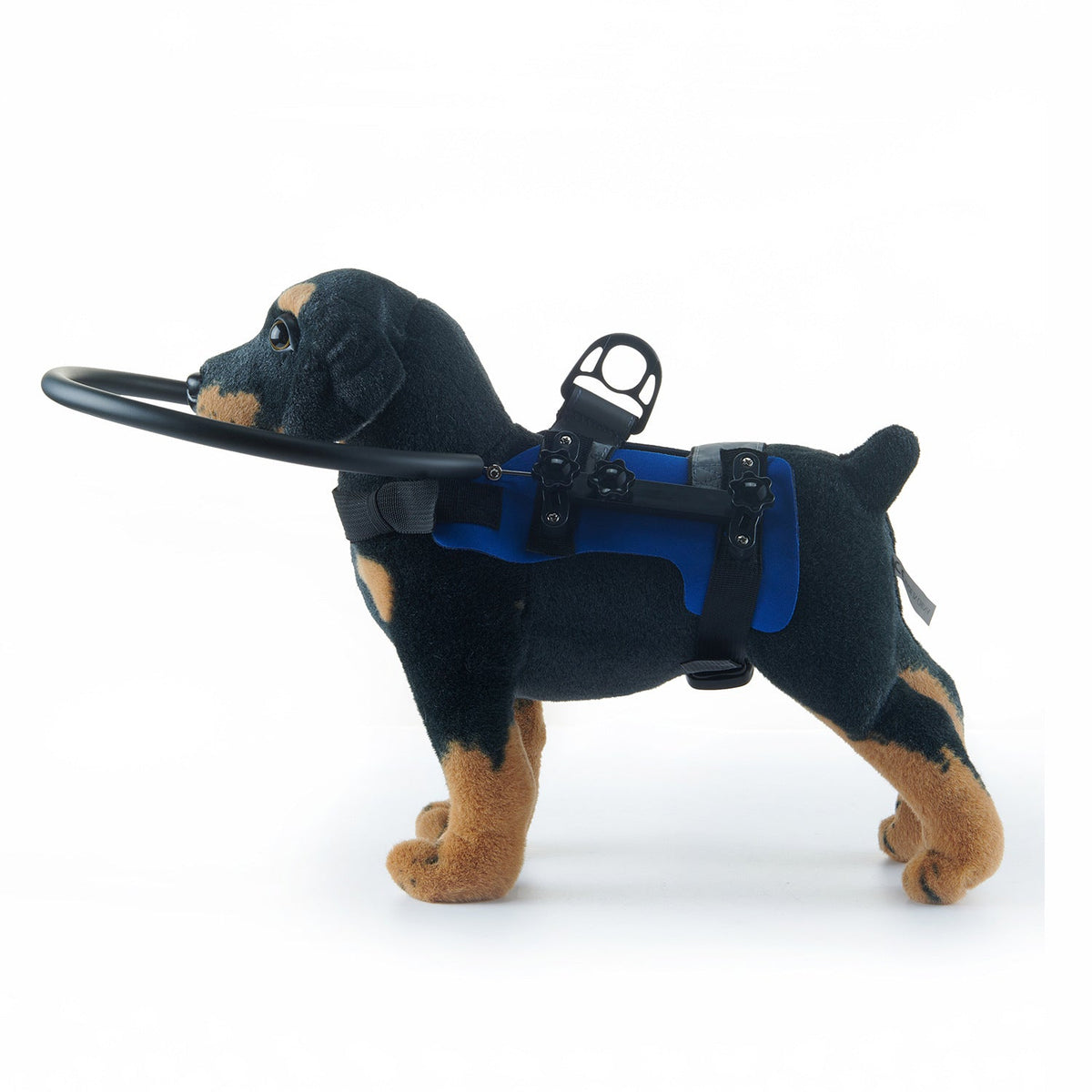 Anti-Collision Halo Guard for Blind & Senior Pets