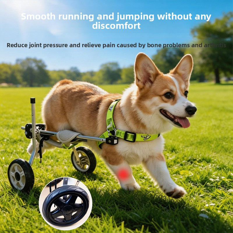 Adjustable Pet Wheelchair for Hind Leg Mobility Support
