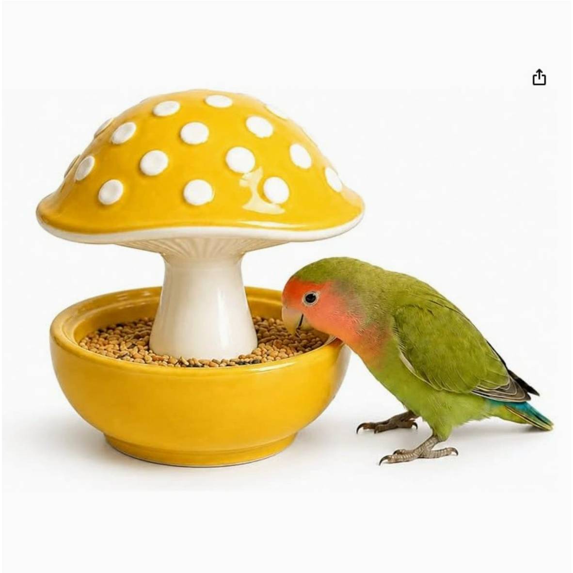 Ceramic Mushroom Bird Feeder