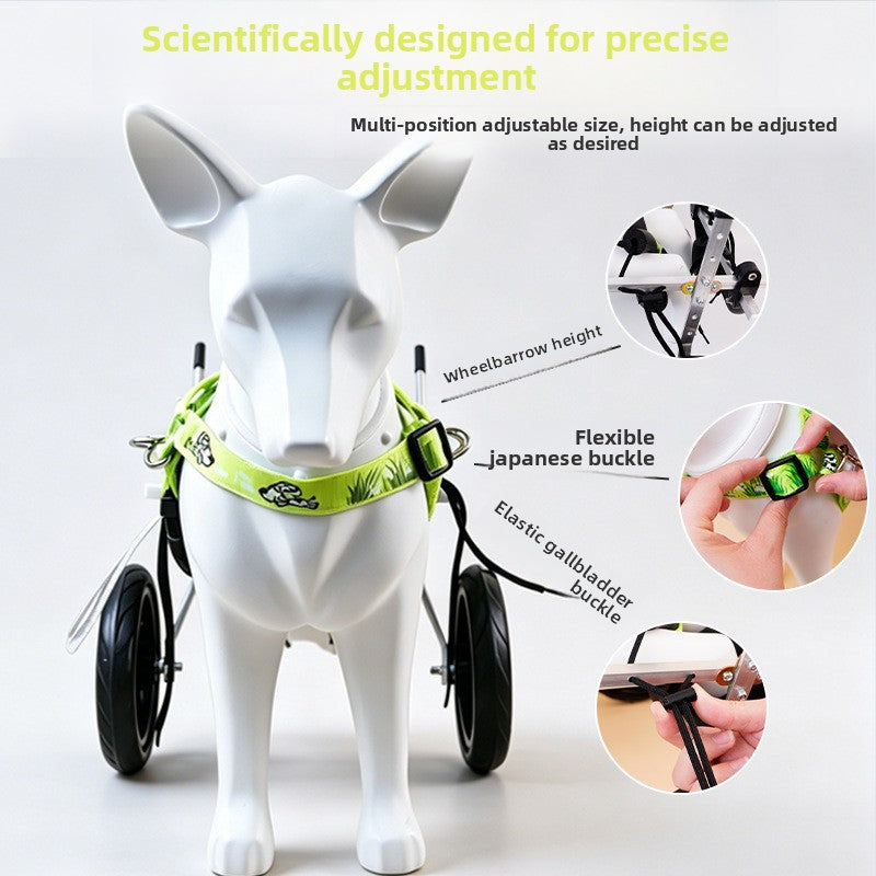 Adjustable Pet Wheelchair for Hind Leg Mobility Support